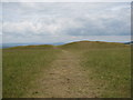 Path to the long barrow on Selsley Common