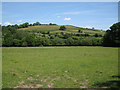 Meadow by the Kester Brook