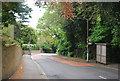 Bus Stops either side of Wells Park Rd