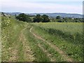 Track to Monks Hill Cottage