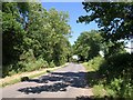 Road past Hardwicke Farm Covert