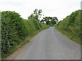 Ashley Lane, at Sand Bank