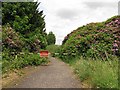 Road, Larbert House