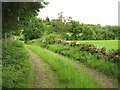 Farm track, Torwood Head