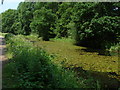 Basingstoke Canal