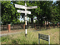 SJ7365 : Old signpost on Jones's Lane by Stephen Craven