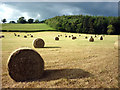 Hay bales, Lanercost