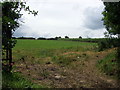 Farm across a field