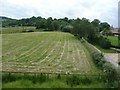 Field after haymaking