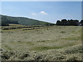 Haymaking at Woodcote Farm