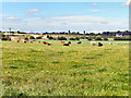 Farmland at Birch