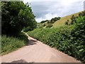 Lane at Hagley Bridge