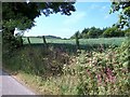 Crop field south of Coed Mynydd-Meilian