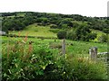 Unshanagh Townland