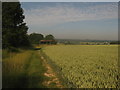 Footpath towards Clapper