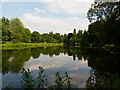 Temple Pool, looking east