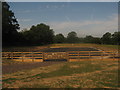 Horse training area near Pigdown Farm