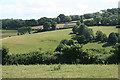 West Buckfastleigh: above Coombe