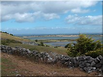 M2807 : Limestone wall at Sheshia with a view towards Galway Bay by Neil Theasby