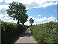 Road to Cheriton Fitzpaine