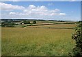 Farmland at Fryan Farm