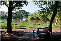 Seat overlooking lake north of Black Firs plantation