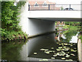 Monument Bridge, Woking