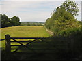 Gate near Puckden Wood