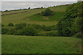 Fields near Mynydd-mawr farm