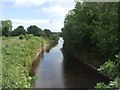 H0007 : Shannon-Erne Waterway NE of Scrabbagh by John M
