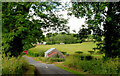 The Bronte Road near Glascar