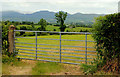 Gate near Rathfriland