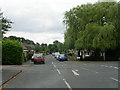 Hawksworth Avenue - Back Lane