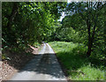 Minor road under Coed Gwernafon