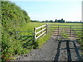 Pasture near Lawn Farm