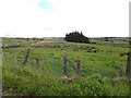 Burnside Townland