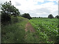 Start of Footpath to Guy Lane