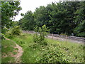 Footpath beside the Felixstowe Docks loop line