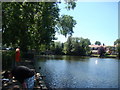 Lake in Raphael Park, looking back to the Main Road bridge