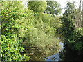 River Dane upstream of Byley Bridge