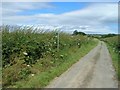 Footpath to Hoarston