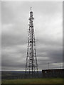 SJ9692 : Telecoms mast on Werneth Low by michael ely