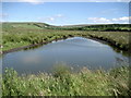 Muddy Pond at Slack