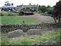 Nether Rodknoll Farm