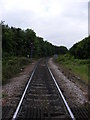 The railway towards Felixstowe North Quay Terminal