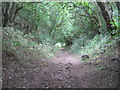 Footpath from Elwick to Dalton Piercy