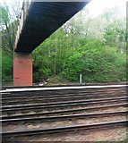 TQ4468 : London Loop Footbridge crosses the line, north of Petts Wood Station by N Chadwick