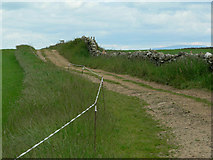 NX3744 : Track on Balcraig Moor by RH Dengate