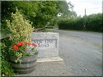 N9961 : Road Name Sign, Co Meath by C O'Flanagan