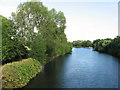 River Taff near Llandaff